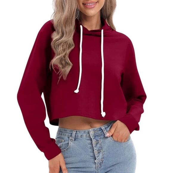 Wild Fable Cropped Hooded Sweatshirt in Merlot - Picture 1 of 8